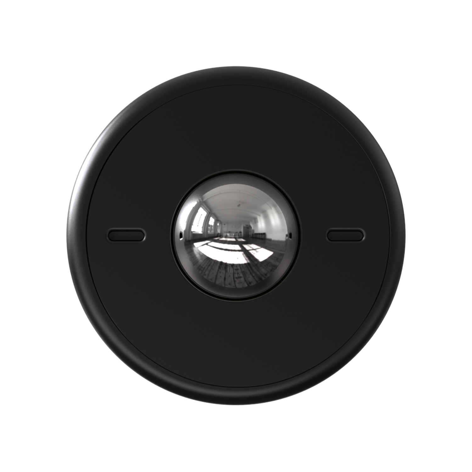 Large Product Image